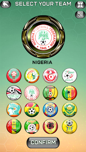 Africa Cup Of Nations Game Screenshot 1