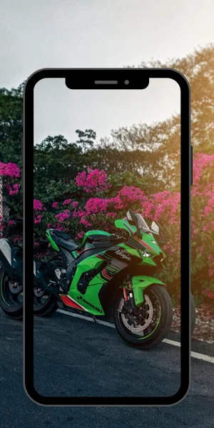 Kawasaki Ninja ZX10R Wallpaper Screenshot 2