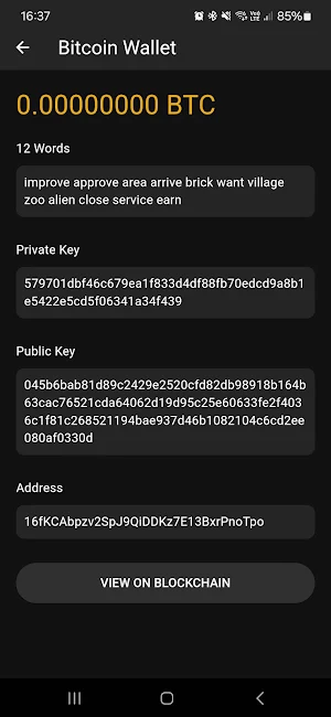 Lost Bitcoin Recover Screenshot 3