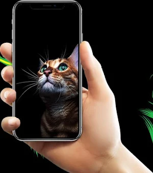 Kitten Lock Screen Screenshot 1