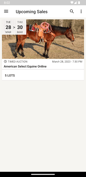 ASE Auctions Screenshot 0
