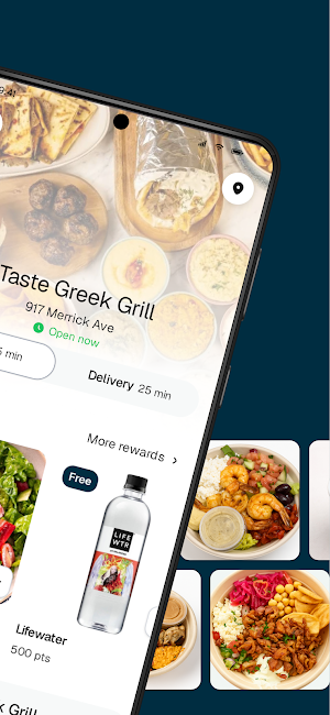 Taste Greek Grill Screenshot 1