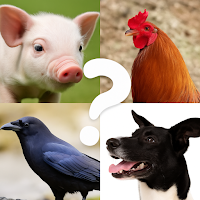 Animal Name Filter Challenge