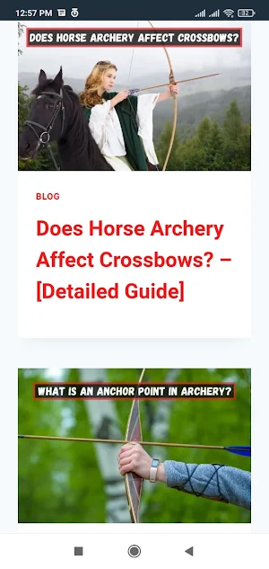 Archery Pick Screenshot 0