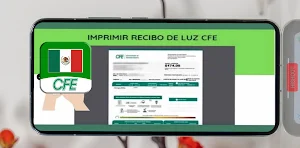 Recibo de Luz CFE Guía Screenshot 3