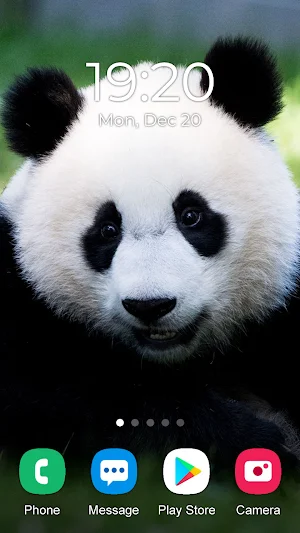 Animal Wallpaper 2023 Screenshot 2