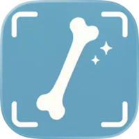 Bone Identifier: AI Scan