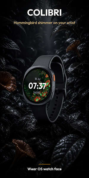 Colibri – watch face Screenshot 0
