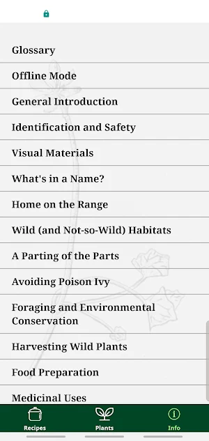 Foraging with the Wildman Screenshot 2