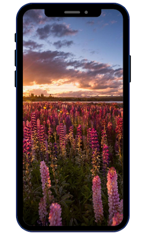 Summer Wallpapers Screenshot 0