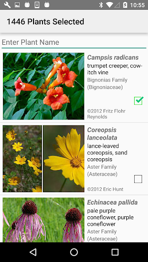 Arkansas Wildflowers Screenshot 1