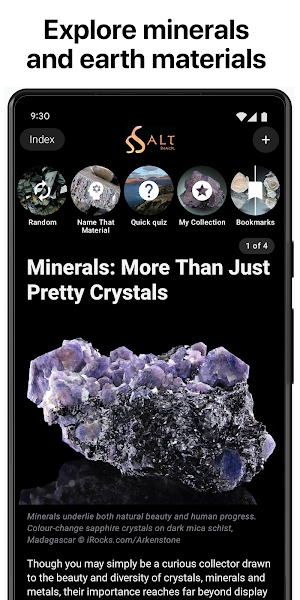 Salt Shack Minerals Screenshot 0