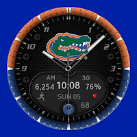 Florida Premium Watchface