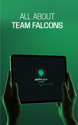 Team Falcons Screenshot 3