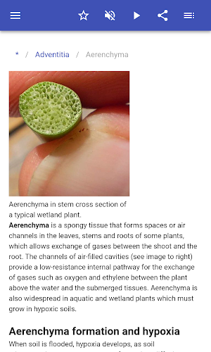 Body tissues Screenshot 2