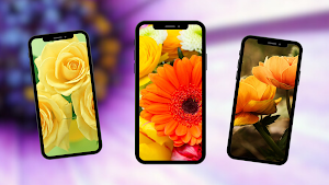 Flowers Wallpapers Screenshot 3