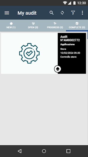Audit Manager - ING Group Srl Screenshot 2