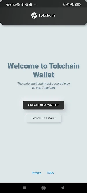 TokChain Screenshot 1