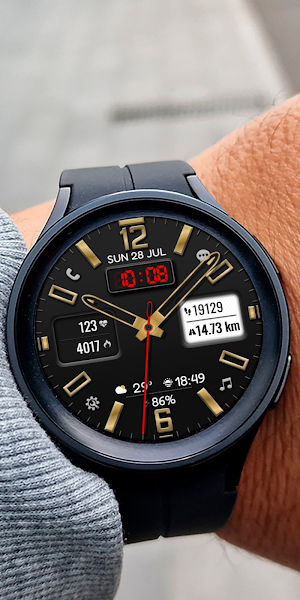 Analog DARNAKO WS22 Watch face Screenshot 3