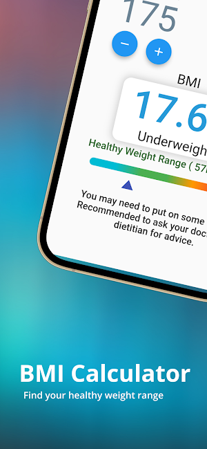 BMI Calculator Screenshot 2