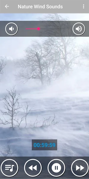 Relaxing Wind Sounds for Sleep Screenshot 3