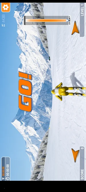 SKI SLALOM Screenshot 2
