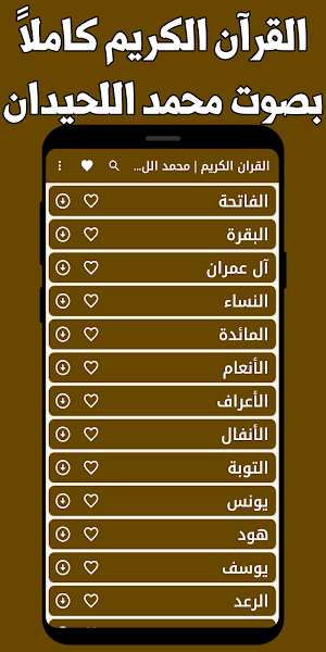قران كامل محمداللحيدان بدون نت Screenshot 0