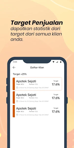 Sales Suport System Screenshot 2