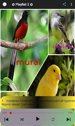 Masteran Burung Nonstop MP3 Screenshot 1