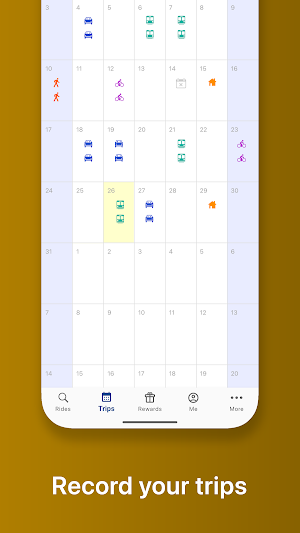 BeachGO Screenshot 2