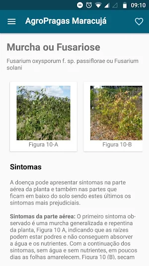 AgroPragas Maracujá Screenshot 2