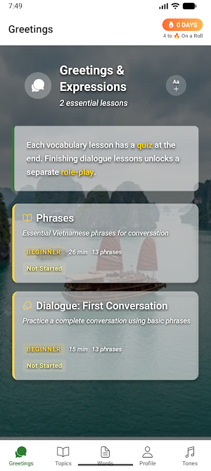 Vietnamese for Travel Screenshot 0