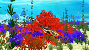 The Cobia Screenshot 1