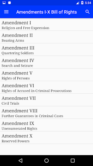 US Constitution Screenshot 2