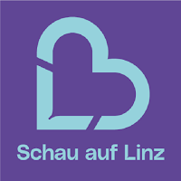 Schau auf Linz