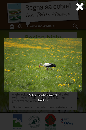 Ptaki i przyroda mokradeł Screenshot 2