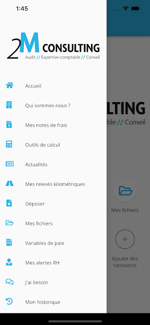 2M Consulting Screenshot 3