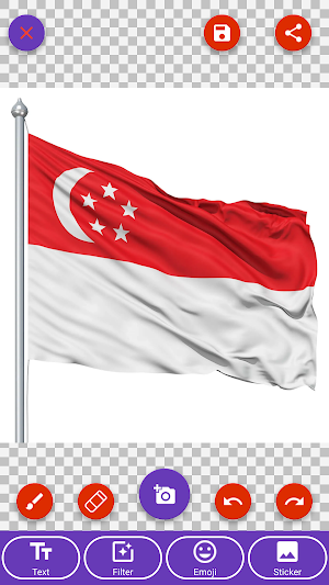 Singapore Flag Wallpaper: Flags, Country HD Images Screenshot 1