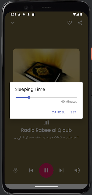 World Muslim Radios Screenshot 2