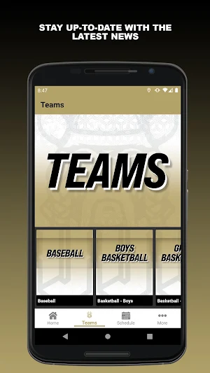 Jasper Vikings Athletics Screenshot 3