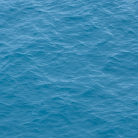 Mikvah Appointment Bookings