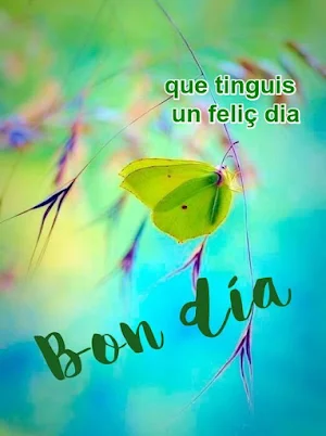 bon dia bona nit bona tarda Screenshot 1