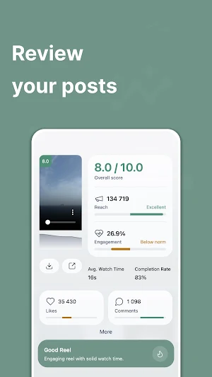 PandaPilot Instagram Analytics Screenshot 1