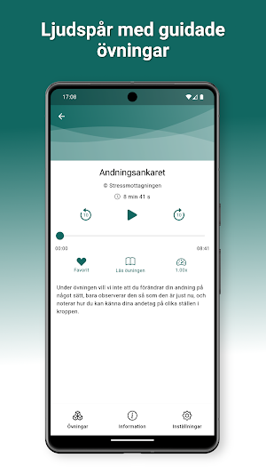 Närvaro i nuet Screenshot 1