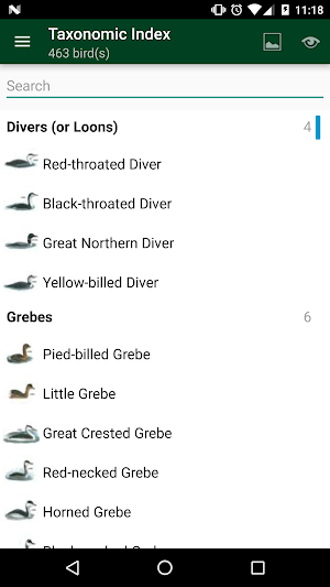 Birds of Eastern Europe Screenshot 1