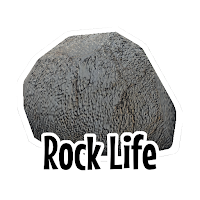 Rock Life