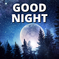 Good Night Quotes 2020