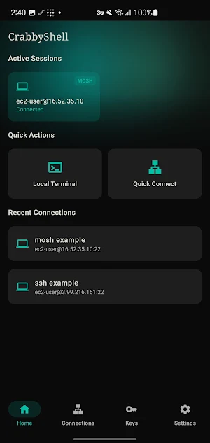 Crabby Shell SSH Screenshot 0