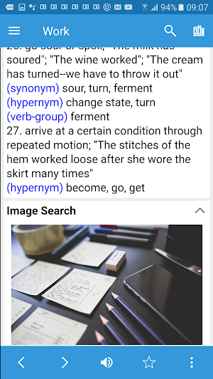 Kurdish Dictionary & Translator Screenshot 2