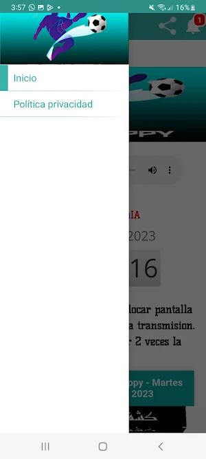 Fútbol en vivo Screenshot 2
